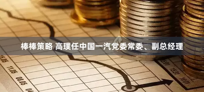 棒棒策略 高璞任中国一汽党委常委、副总经理