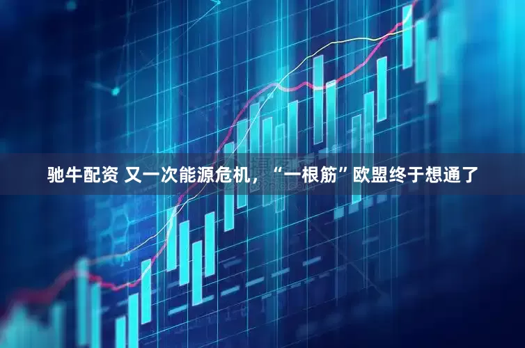 驰牛配资 又一次能源危机，“一根筋”欧盟终于想通了